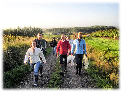 Promenade dans les vignes du Layon