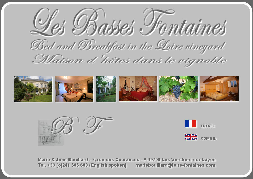 Bed Breakfast Accommodation inn Loire Valley